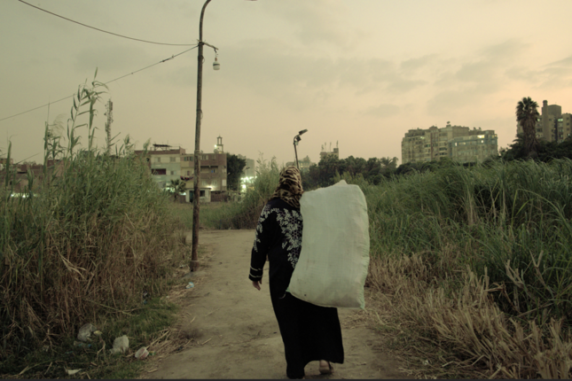 التنمية الاقتصادية والاجتماعية