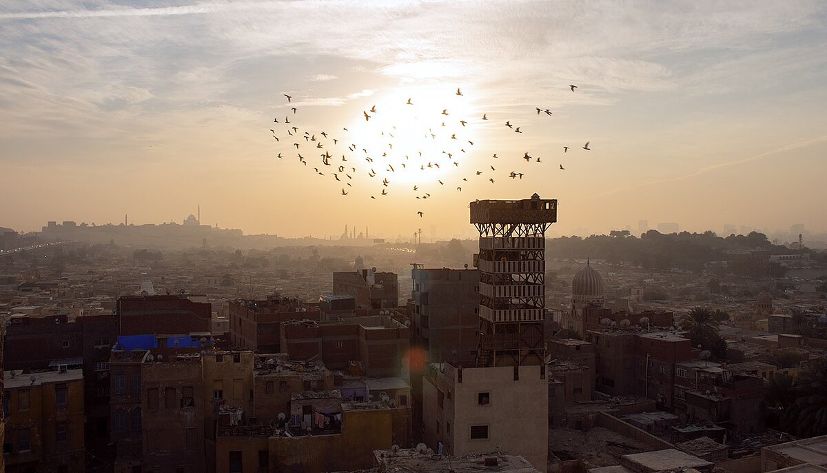 a photo depicting part of the urban structure of Cairo, with birds flying in the air as well as the sun setting. 